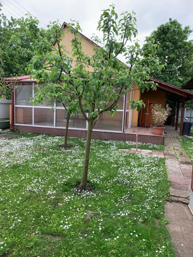Villa Eoetvoes Vendeghaz Hajdúszoboszló Exterior foto